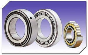 Cylindrical Roller Bearings